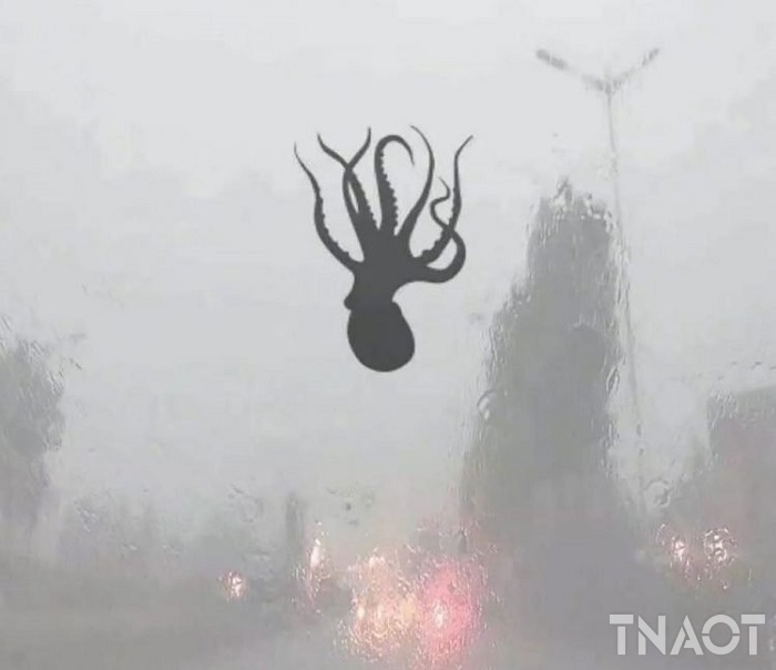 seafood-rain-750x648.jpg