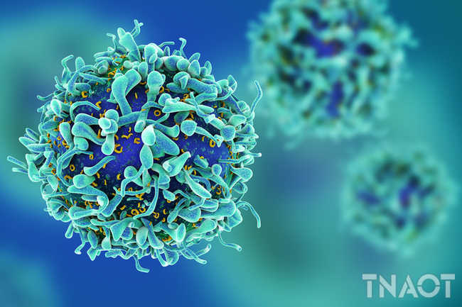 493ss_thinkstock_rf_microscopic_cancer_tcells.jpg