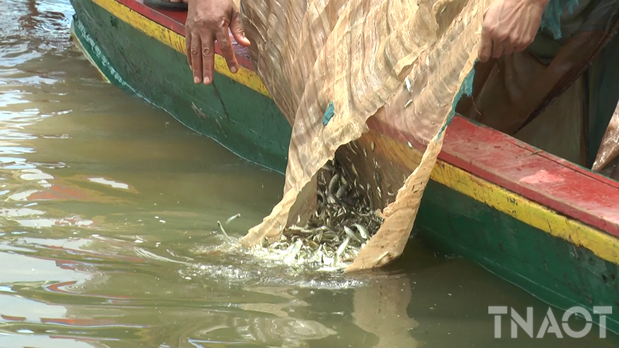 vlcsnap-2019-02-19-08h35m35s624.png vlcsnap-2019-02-19-08h35m35s624.png