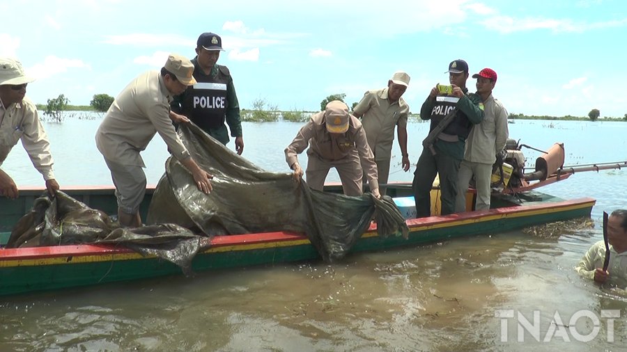 vlcsnap-2019-02-19-08h35m20s661.png vlcsnap-2019-02-19-08h35m20s661.png