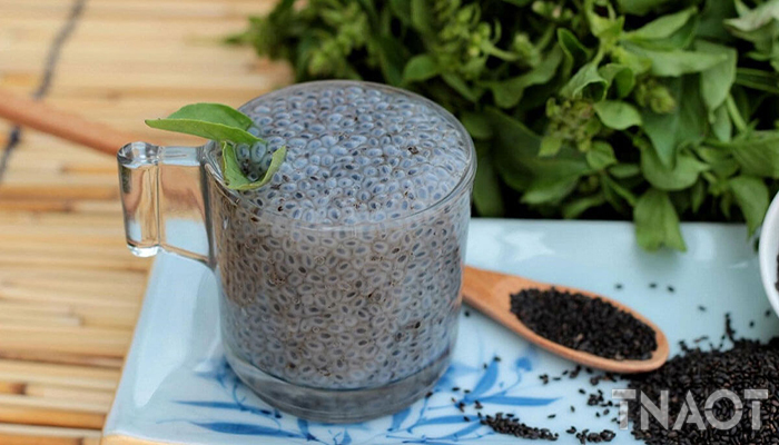 health-Hairy-Basil.jpg